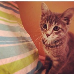 Meet your Posher, Chelah